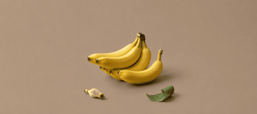 Can Cats Eat Banana Fruit Facts Every Cat Owner Should Know