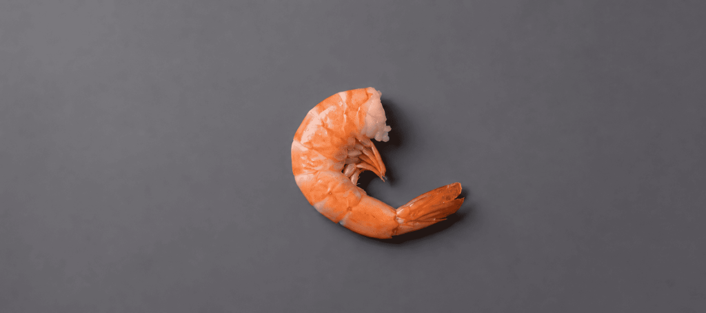 Can Cats Eat Shrimp
