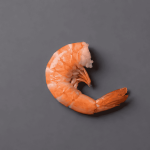 Can Cats Eat Shrimp