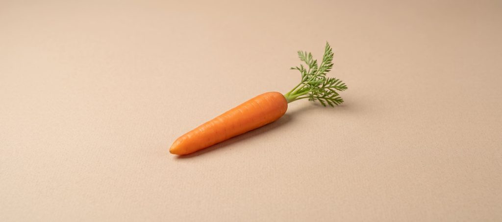 Can Cats Eat Carrots