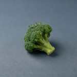 Can Cats Eat Broccoli
