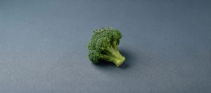 Can Cats Eat Broccoli