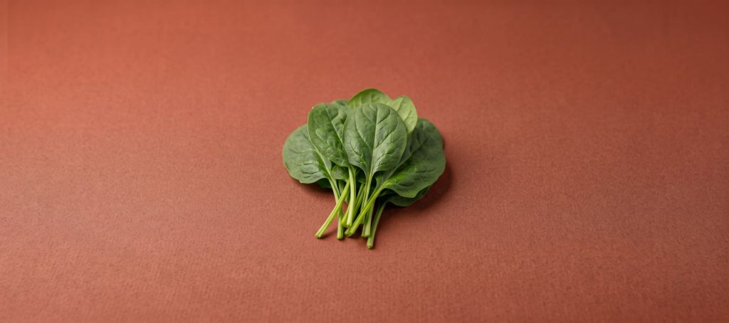 Can Cats Eat Spinach