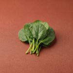 Can Cats Eat Spinach