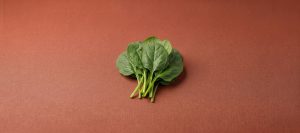 Can Cats Eat Spinach