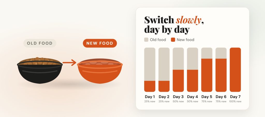 Day-by-day chart for switching cat food: 25% new food on days 1–2, 50% on days 3–4, 75% on days 5–6 and 100% from day 7