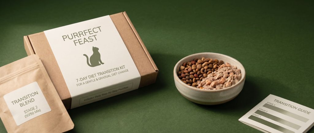 How to Transition Cat Food Without Stomach Upset