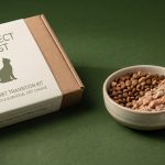 How to Transition Cat Food Without Stomach Upset