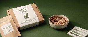 How to Transition Cat Food Without Stomach Upset